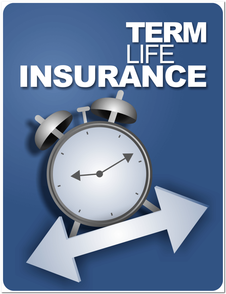 False Details in Application for Term Life Insurance